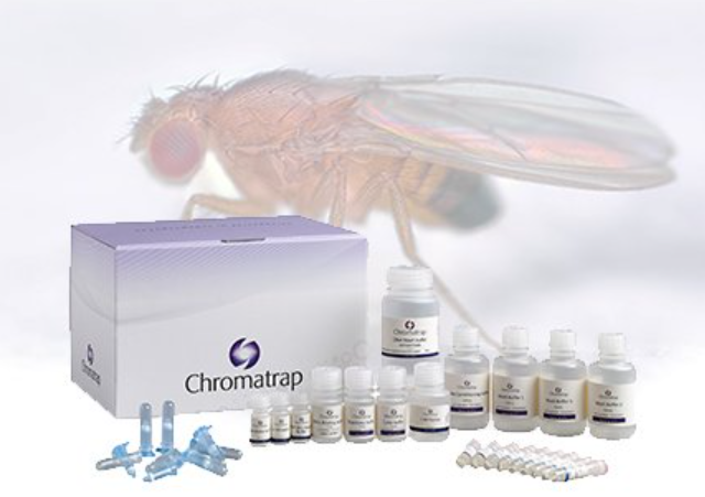 Drosophila ChIP-Seq Kit